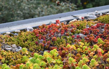 the cost of Dowlais green roof installation