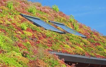 Dowlais living roof systems